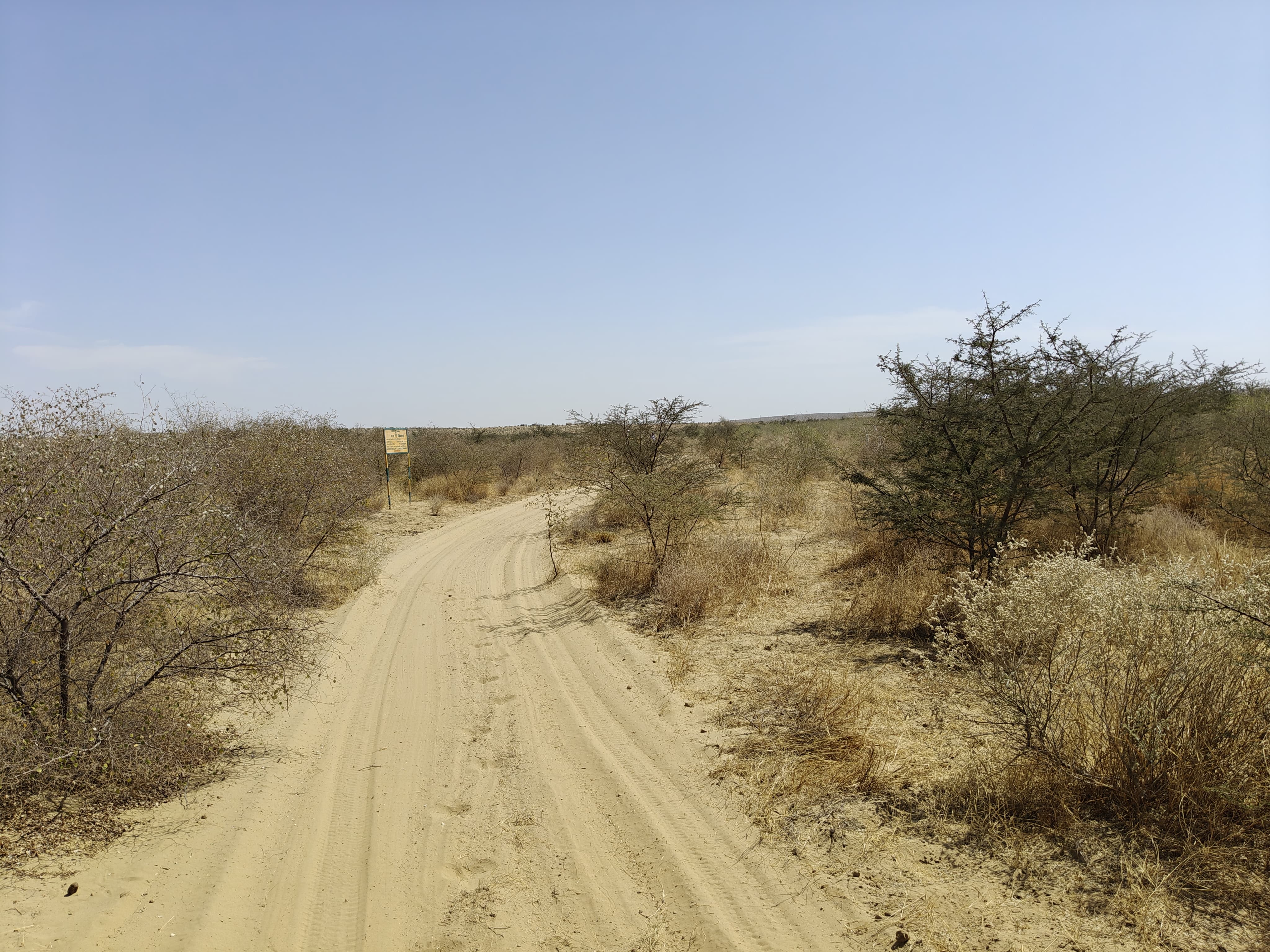 Compensatory Afforestation